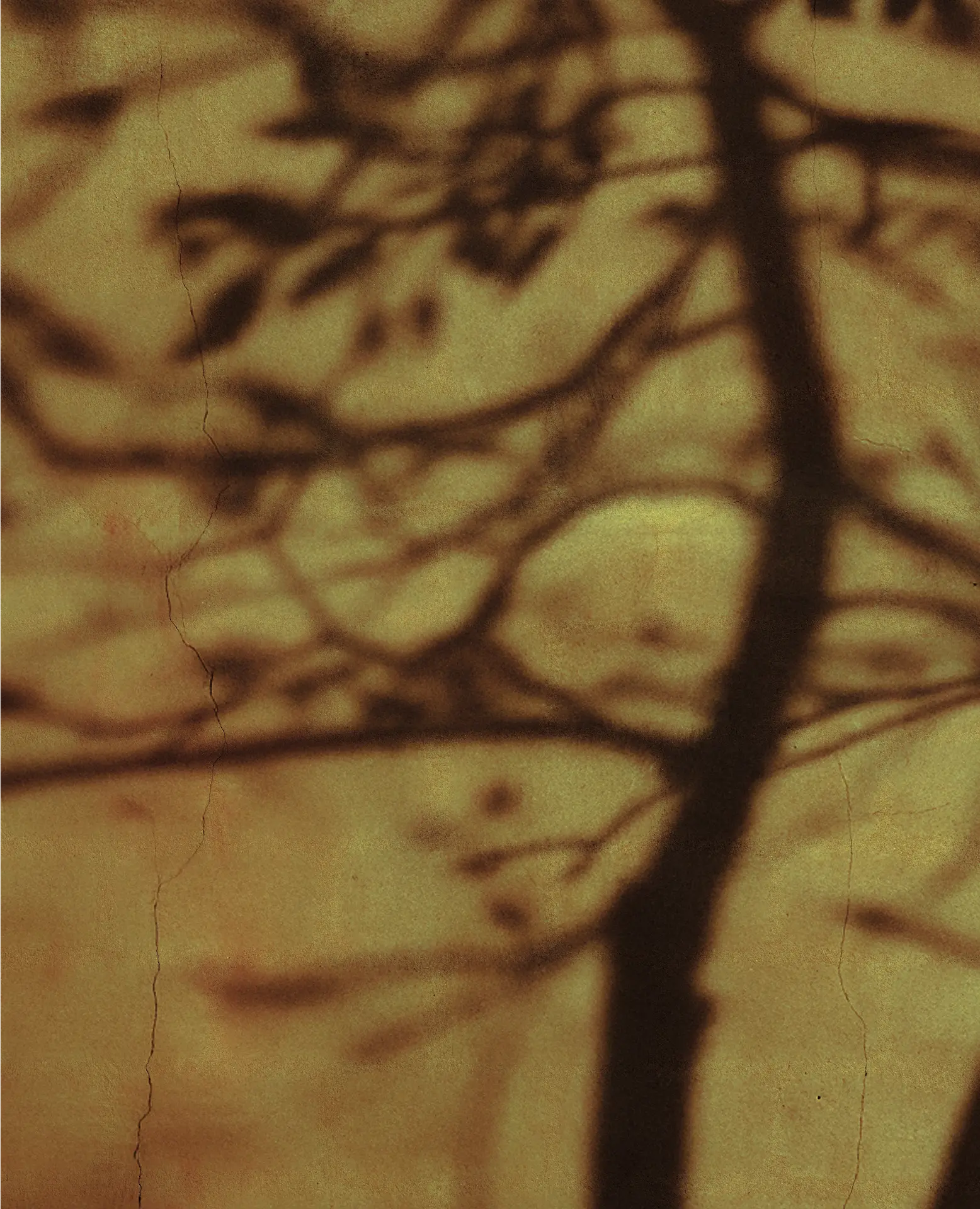 Pricing Plans Illustration