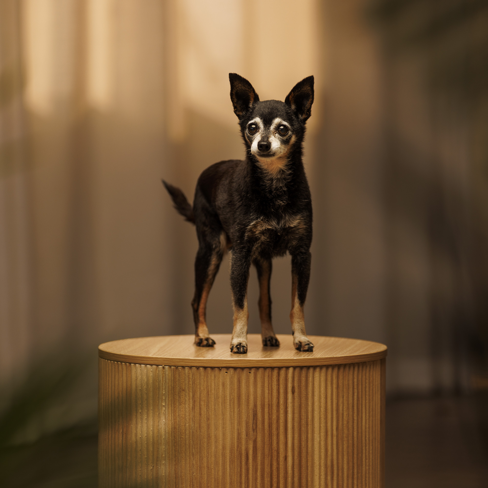 20260402p hazelfamilylaw hazel 001 web 2