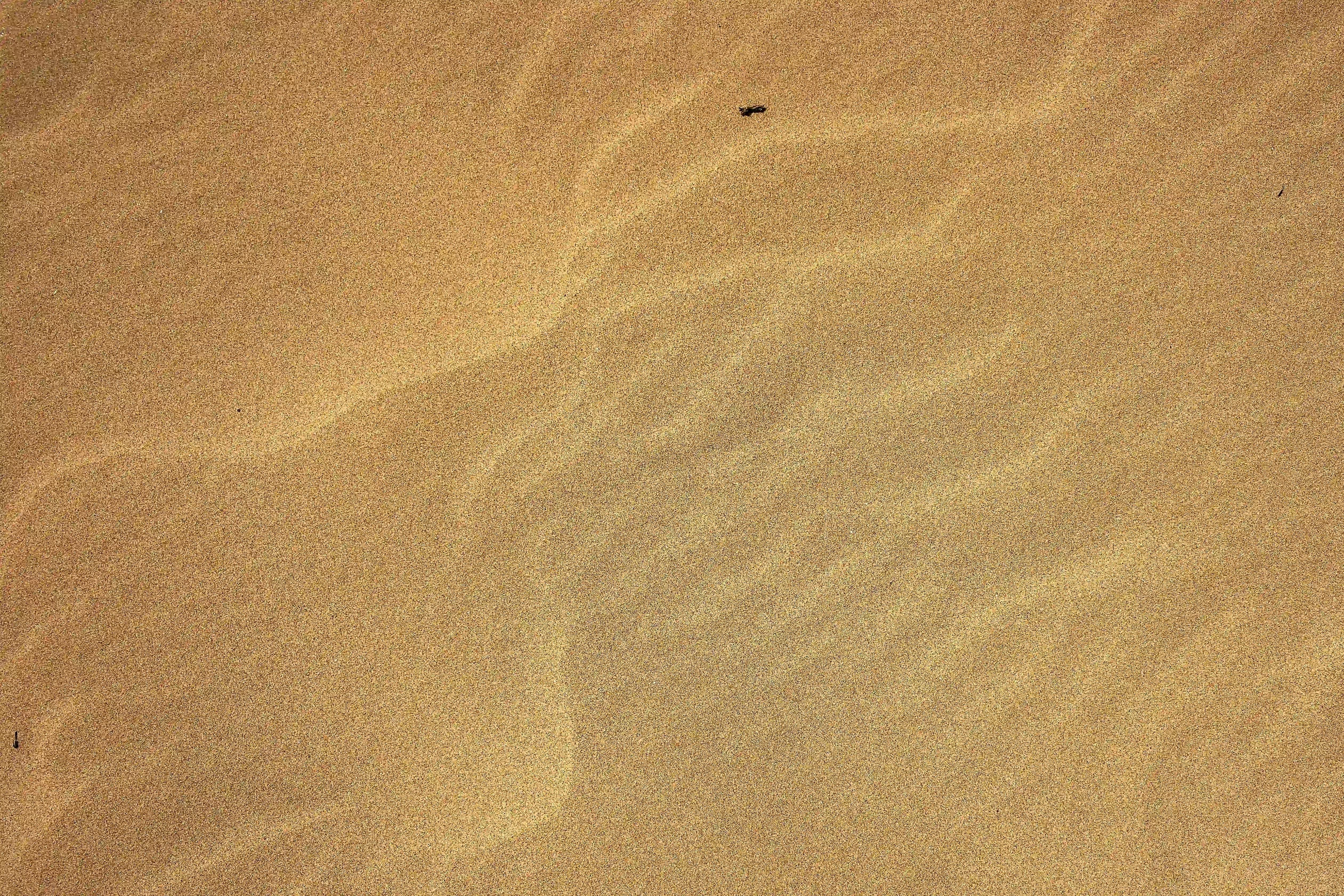 Trauma-informed client care