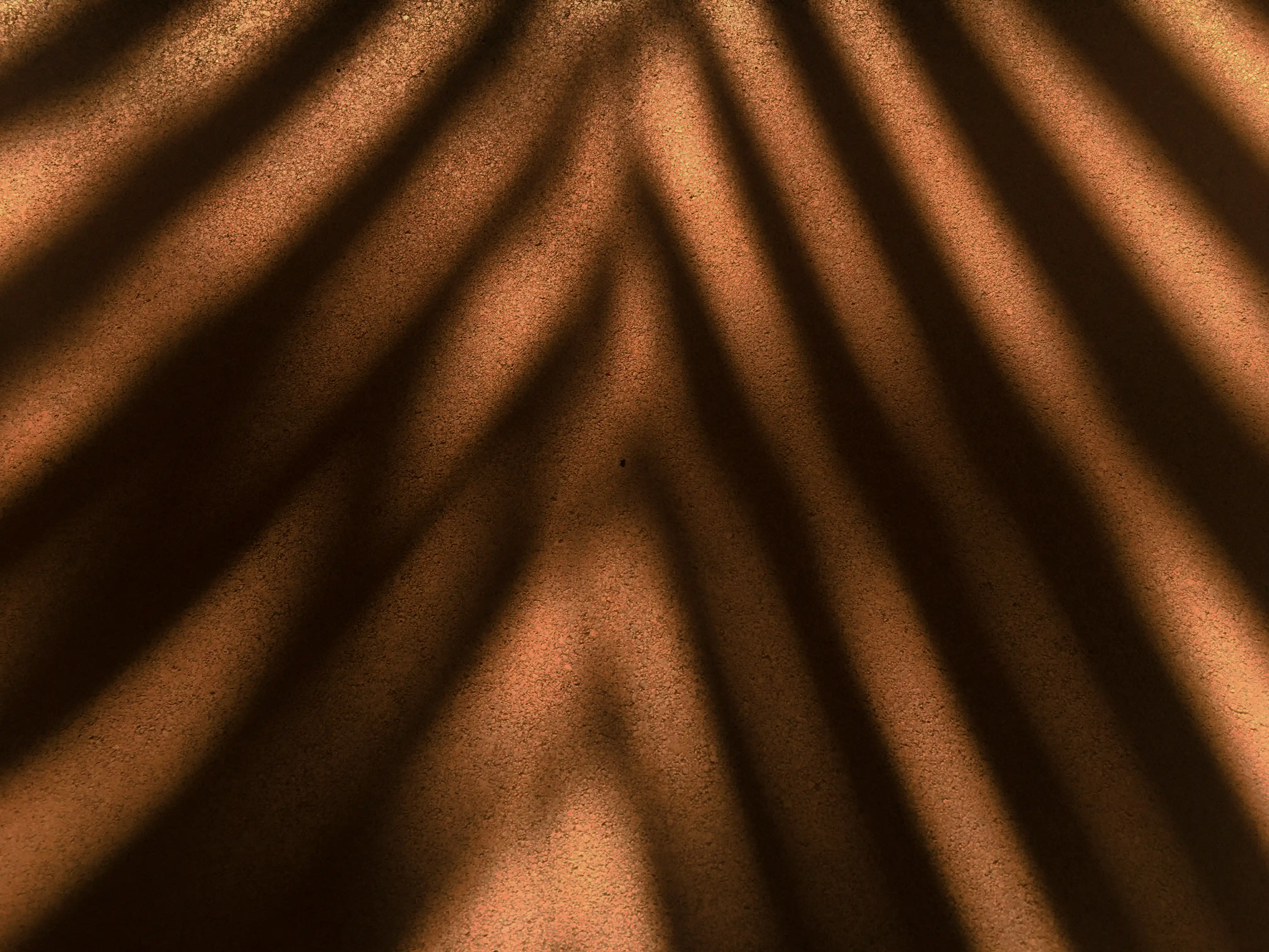 When safety must come first: lessons from Rhodes v Bass (2025)